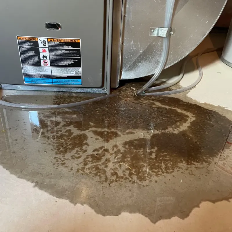 Appliance Leak Cleanup in Addison, WI